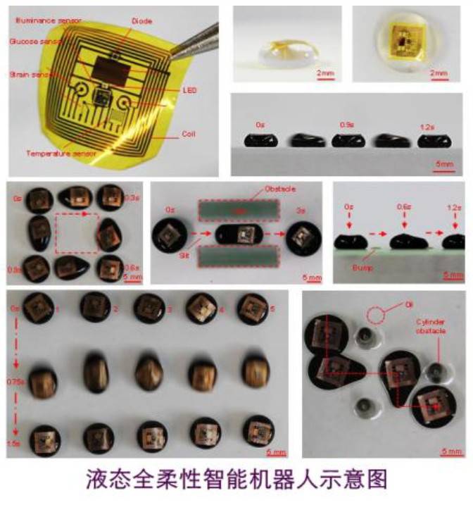全球首個液態全柔性智能機器人誕生