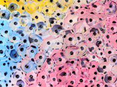 ������C���˹��ܣ�������ƌW�Ҍ��Fͻ��