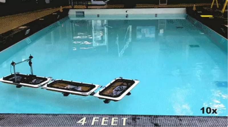 �C����ˮ�������ꑣ��d�ˣ��@Щ�ƻ�Ƭ�еĈ����쌍�F�ˣ�