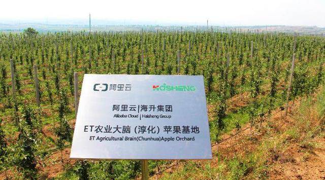 AI������s��ȥ�r(n��ng)��