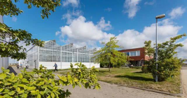 AI������s��ȥ�r(n��ng)��