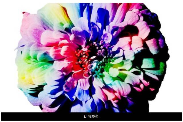 ����ڤ��C(j��)����-���l(f��)���ڄ�(chu��ng)��