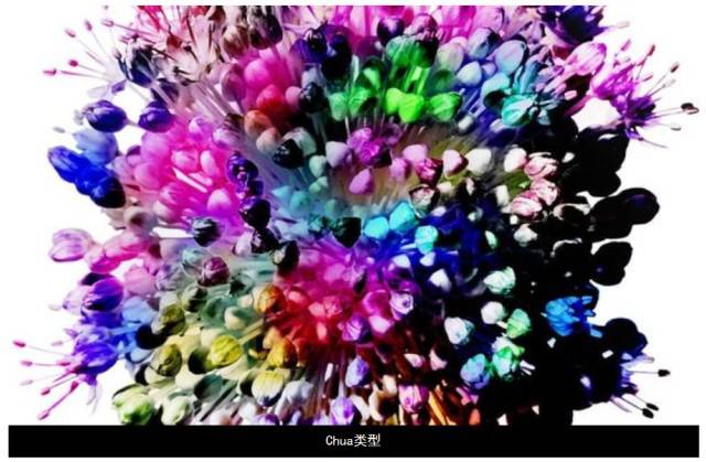 ����ڤ��C(j��)����-���l(f��)���ڄ�(chu��ng)��