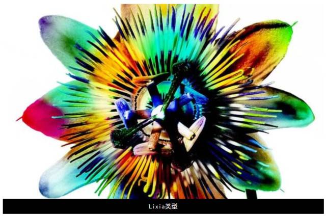 ����ڤ��C(j��)����-���l(f��)���ڄ�(chu��ng)��