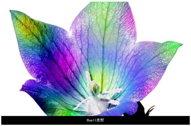 ����ڤ��C(j��)����-���l(f��)���ڄ�(chu��ng)��