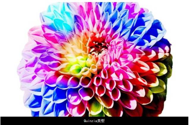 ����ڤ��C(j��)����-���l(f��)���ڄ�(chu��ng)��