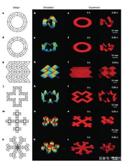 3D��ӡܛ�w�C���ˣ�3D��ӡ���Ց���Խ��Խ�V��