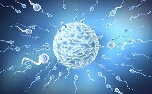 �ɹ������ܾ��ӆ��l��΢�͙C���˿������w���΄����\��ˎ��