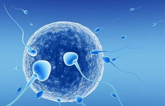 �ɹ������ܾ��ӆ��l��΢�͙C���˿������w���΄����\��ˎ��