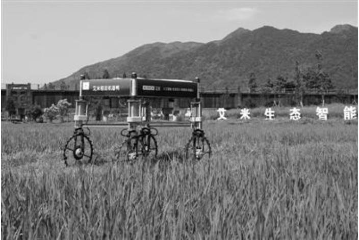 �㽭�ׂ�5G�ǻ��r�I�Ͼ� �C����Ѳ��o�˙C����