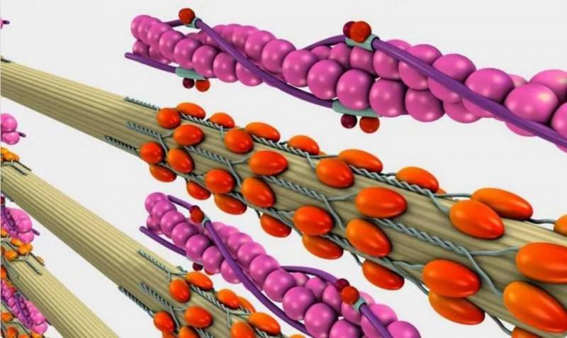 T800��܊�C���˲�����������R�_���������\����