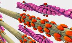 T800��܊�C���˲�����������R�_���������\�ӣ�