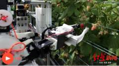 �������_��ժ�C�����_ժ ÿ��ɸ�20С�r