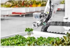 ����(gu��)�ׂ�(g��)ȫ�Ԅ�(d��ng)���҃�(n��i)�r(n��ng)��(ch��ng)Ͷ�����a(ch��n) �a(ch��n)������y(t��ng)�Nֲ��30�౶