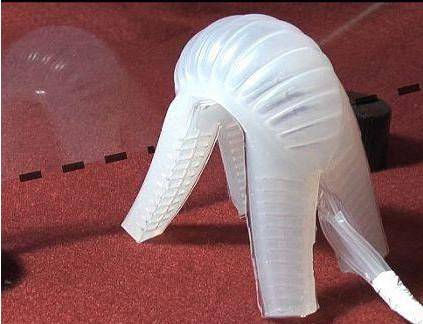 �¼��g���о��ˆT�l�Fһ�N�·�����������ܛ�w�C����